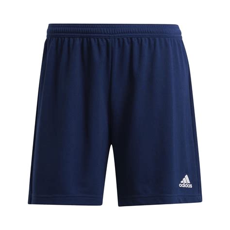 adidas shorts hellblau damen|Adidas lightweight shorts.